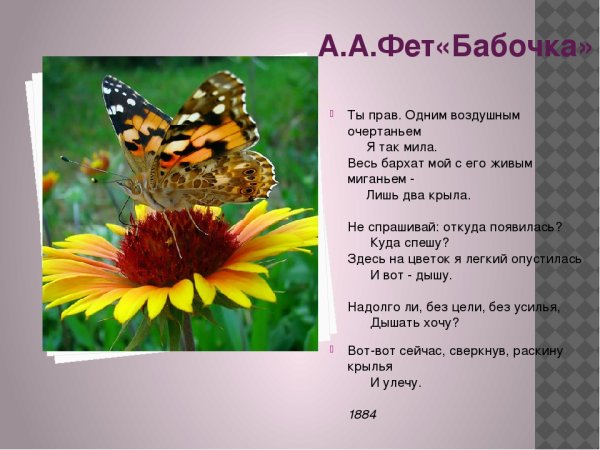 Афанасий Афанасьевич Фет бабочка