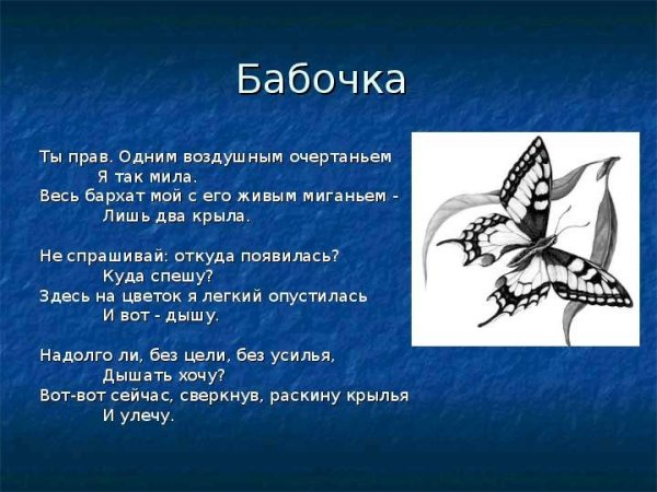 Фет бабочка стих