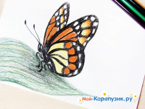 Иллюстрация к стихотворению Фета бабочка