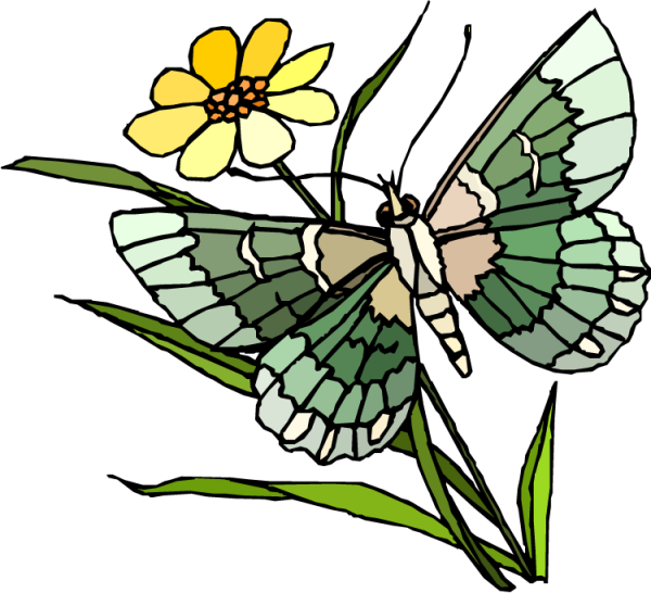 Бабочка на стебле рисунок