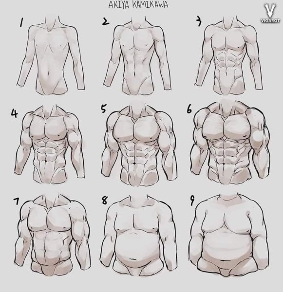 Типы мужских фигур