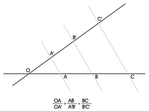 Теорема Фалеса если параллельные прямые