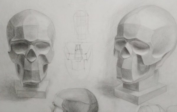 Обрубовка черепа Академический