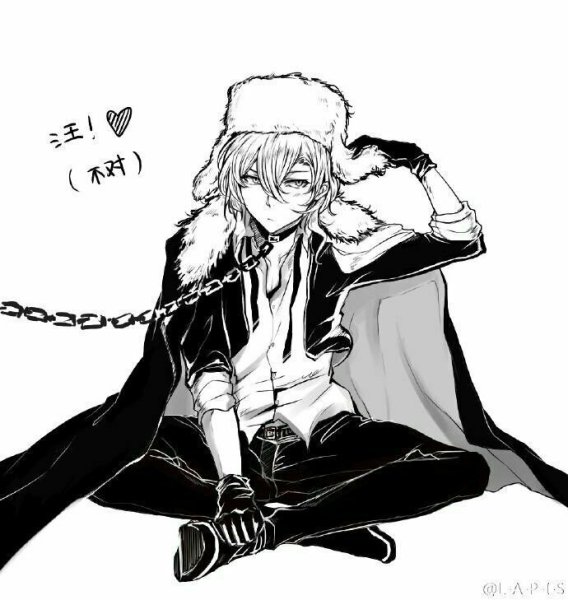 Фёдор Достоевский БСД