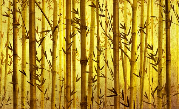 Бамбук золотой (Golden Bamboo)