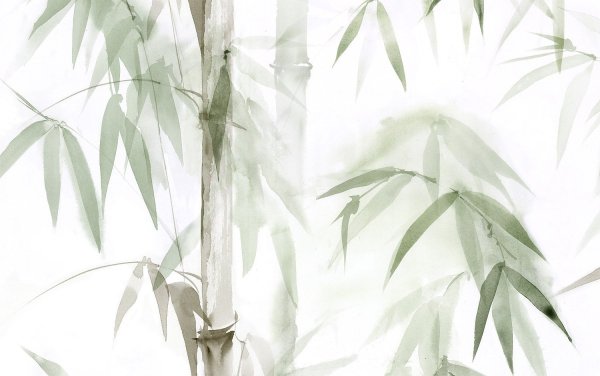 Листья бамбука вектор