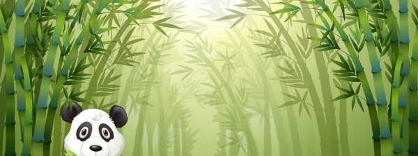 Бамбуковый лес