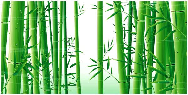 Бамбуковый лес Геншин