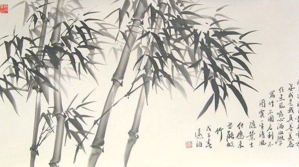 Джунгли фон