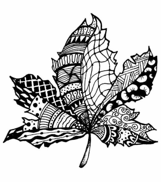 Зентангл листья