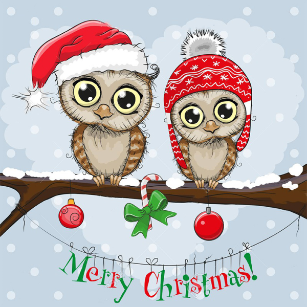 Совушки в шапочках