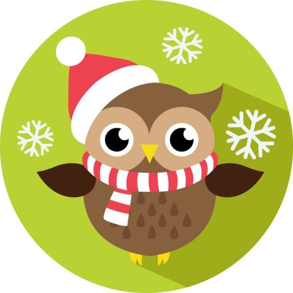 Сова в новогодней шапке