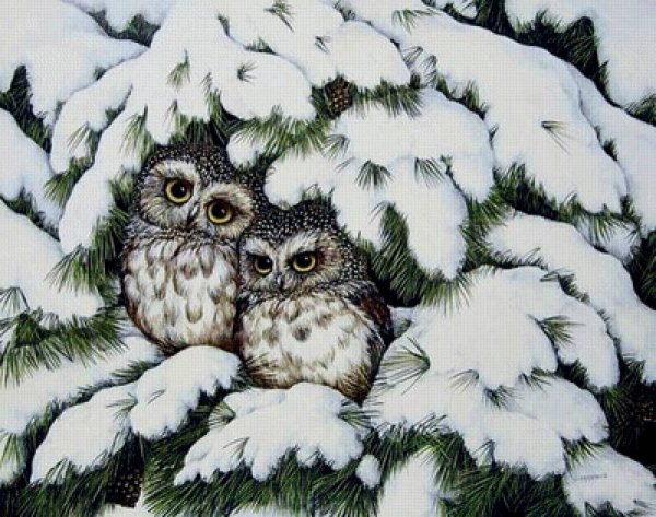 Иллюстратор Инга Пальцер