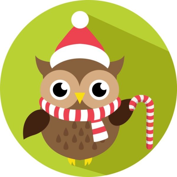 Новогодняя Сова