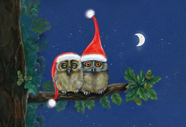 Новогодняя Сова