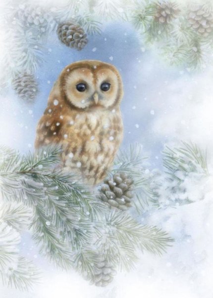 Совушки в шапках