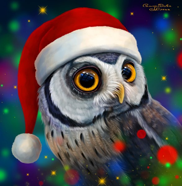 Новогодняя Совушка