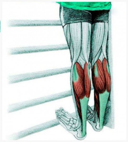 Растяжка икроножных мышц стоя