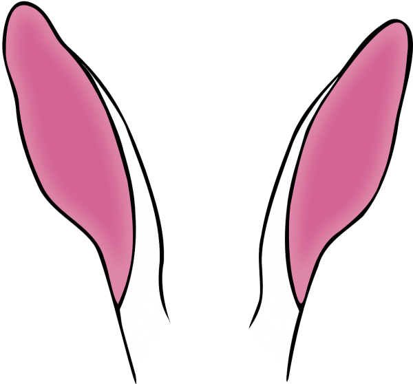 Уши кролика