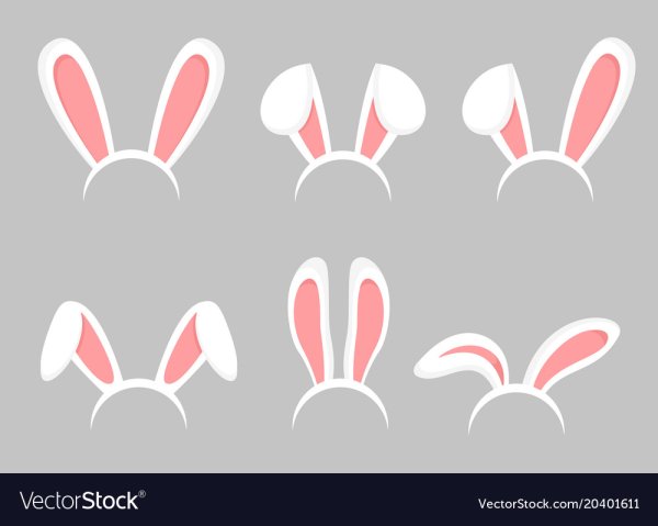 Ушки и лапки зайца