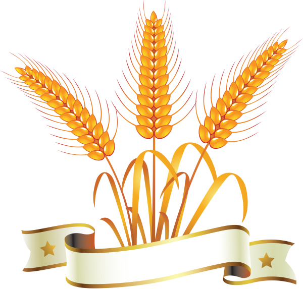 Колосок логотип