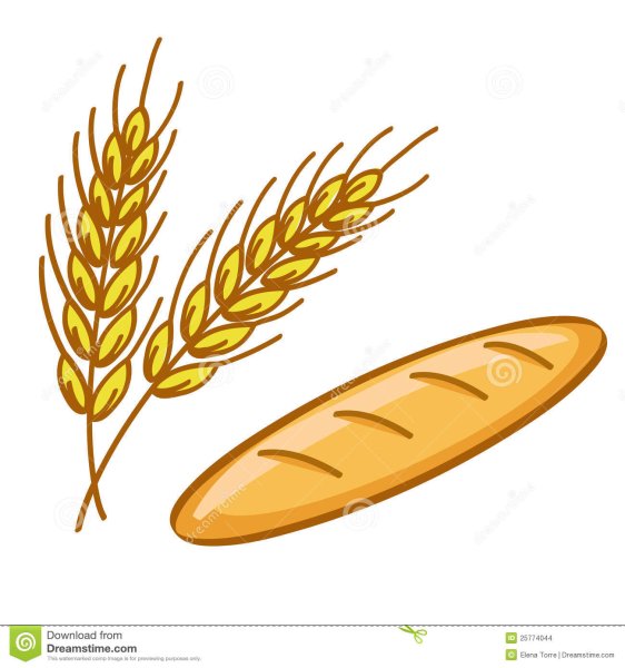 Рисование хлебный Колос