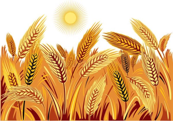 Орнамент пшеница