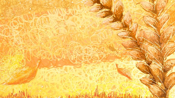 Фоновый узор пшеница