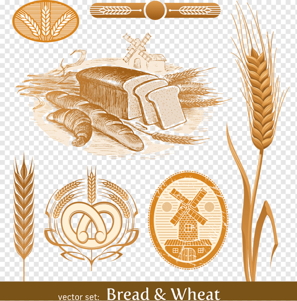 Колосья на этикетке