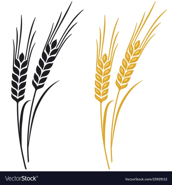 Колосок стилизация