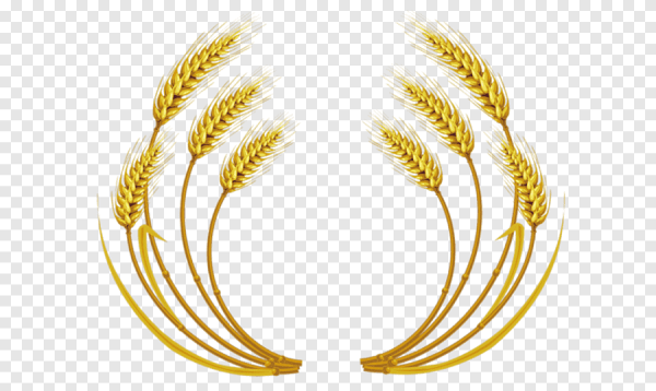 Золотистый колосок