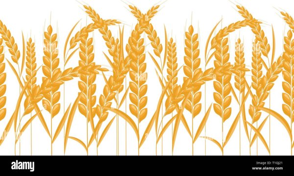 Орнамент колосья