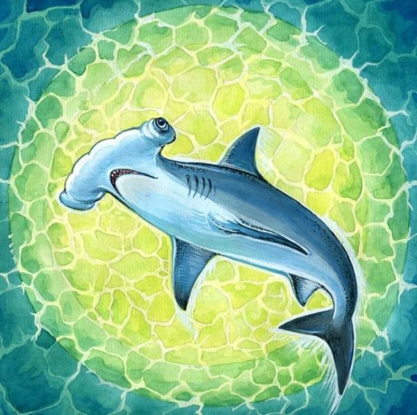 Акула цветными карандашами