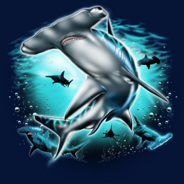 Тату акула