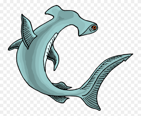 Рыба молот для детей