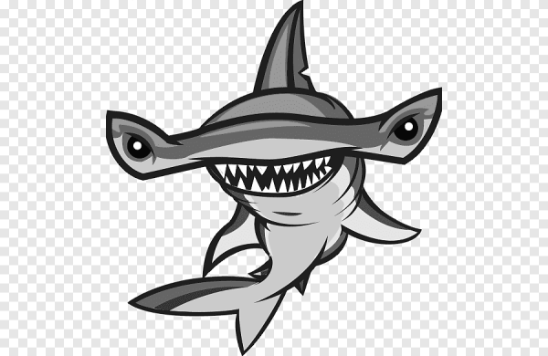 Акула молот арт