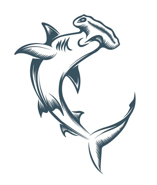 Акула молот эскиз