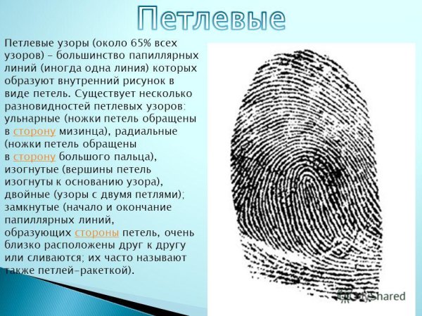 Шатровый дуговой папиллярный узор