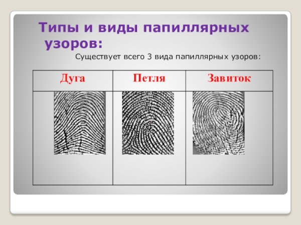 Классификация следов папиллярных узоров криминалистика