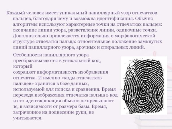 Отпечаток папиллярного узора строение