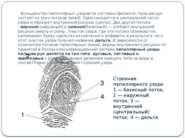 Зарисовка отпечатков пальцев