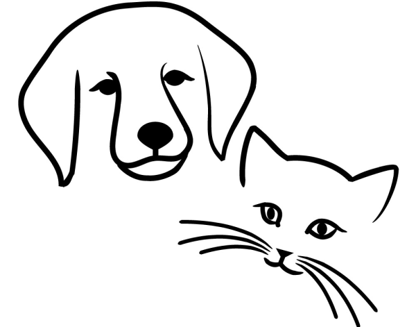 Котенок раскраска для детей