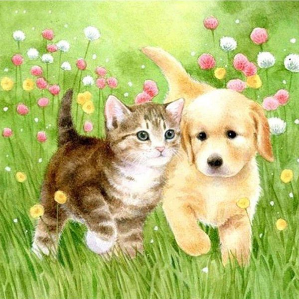 Раскраска кошечки собачки