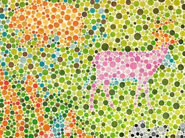 Дальтонизм таблица Рабкина