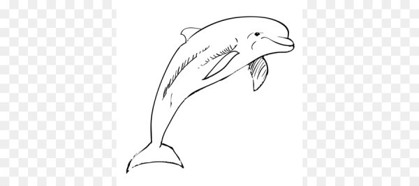 Черноморская Афалина раскраска