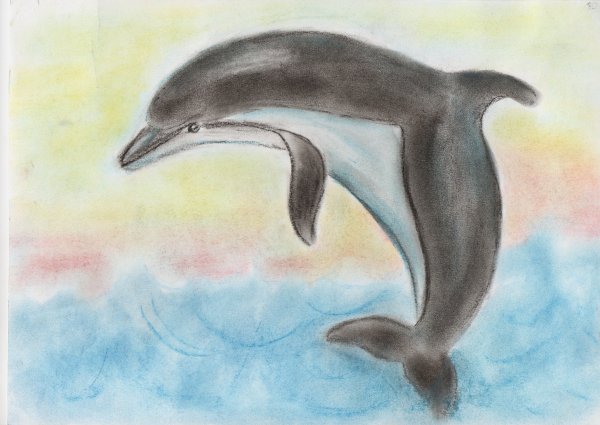 Черноморская Афалина раскраска