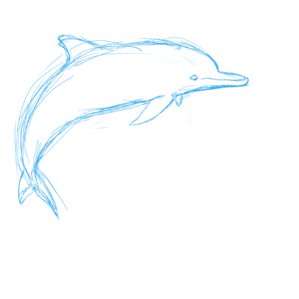 Китайский Речной Дельфин рисунок