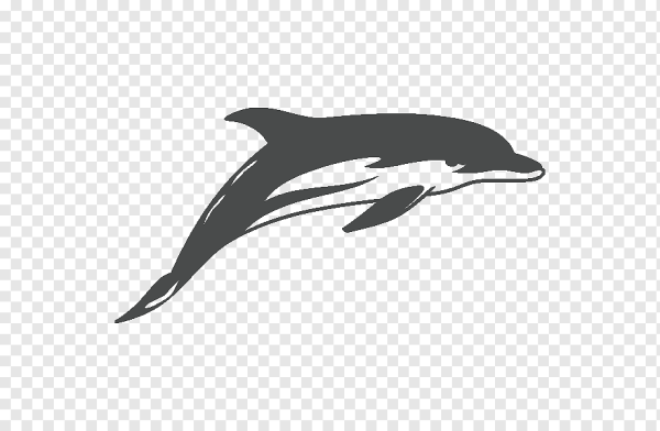 Дельфин сбоку