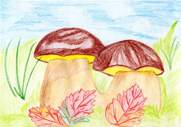 Осенний гриб рисунок
