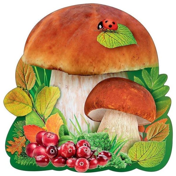 Грибы осенью для детей в детском саду